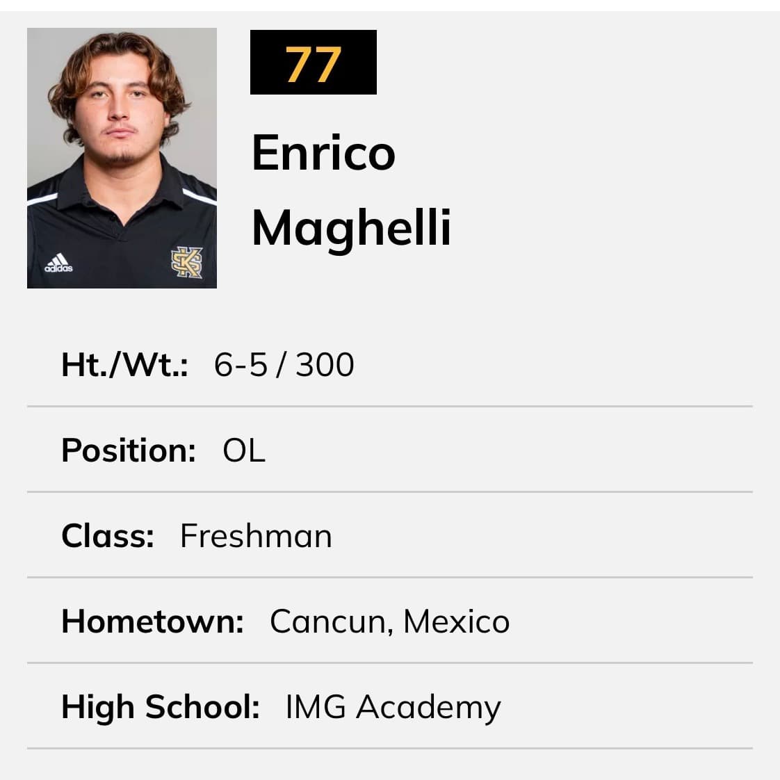 Enrico Maghelli